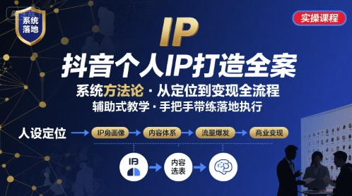 抖音个人IP系统落地实操大课，实操课程，辅助落地-九零网创