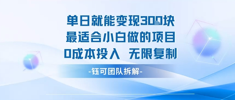 单日就能变现3张最适合小白做的项目0成本投入 无限复制-九零网创