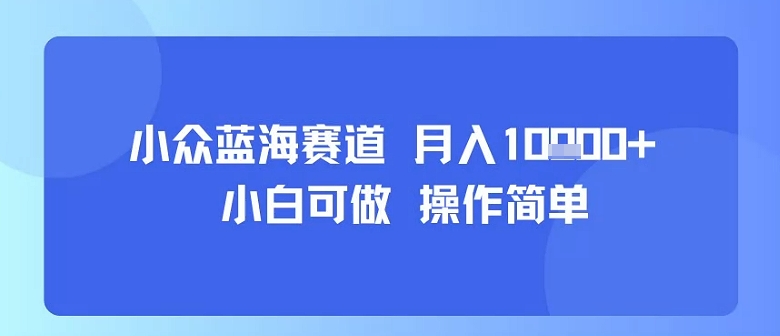 小众蓝海赛道，小白可做，操作简单，每天30分钟，月入1W+-九零网创