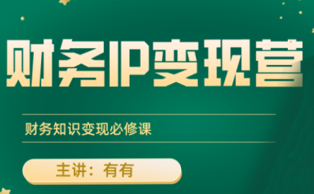 有有老师·财务IP变现营，财务知识变现必修课-九零网创