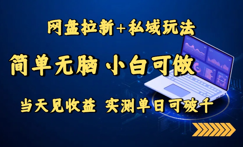 网盘拉新+私域玩法，简单无脑，小白可做，当天见收益，实测单日可破千-九零网创