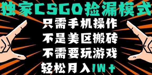 CSGO自动捡漏项目，最新独家玩法，不是美区搬砖，不需要了解和玩游戏，新手小白轻松月入1W+【揭秘】-九零网创