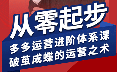 海神·拼多多运营进阶系统课(更新8月)-九零网创