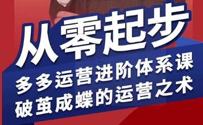 拼多多运营进阶系统课，从零起步，多多运营进阶体系课，破茧成蝶的运营之术-九零网创