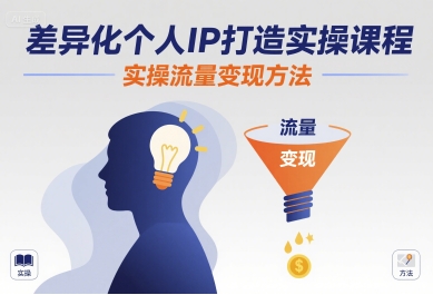 差异化个人IP打造实操课程，实操流量变现方法-九零网创
