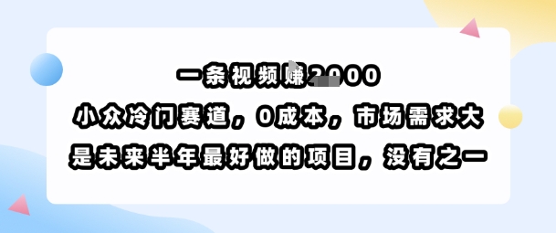 一条视频挣1k，小众冷门赛道，0成本，市场需求大，是未来半年最好做的项目，没有之一-九零网创