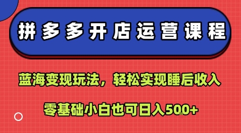 拼多多开店运营课程：蓝海变现玩法，轻松实现睡后收入，零基础小白也可日入5张-九零网创