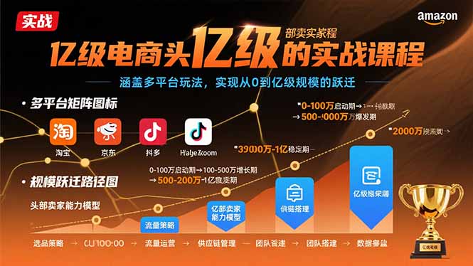 亿级电商头部卖家的实战课程：涵盖多平台玩法，实现从0到亿级规模的跃迁-九零网创