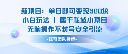 新项目单日即可变现3张的小白玩法无脑操作不封号安全引流-九零网创