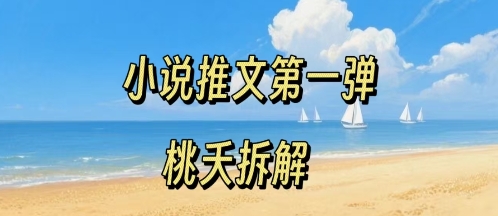 小说推文项目操作全流程第一弹，0粉就能做，门槛低非常适合新手-九零网创