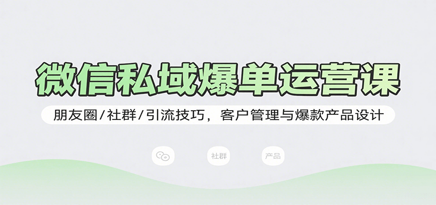 微信私域爆单运营课：朋友圈/社群/引流技巧，客户管理与爆款产品设计-九零网创