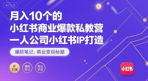 月入10个的小红书商业爆款私教营，一人公司小红书IP打造，爆款笔记，商业变现秘籍-九零网创