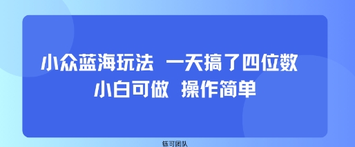 小众蓝海玩法 一天搞了四位数 小白可做 操作简单-九零网创