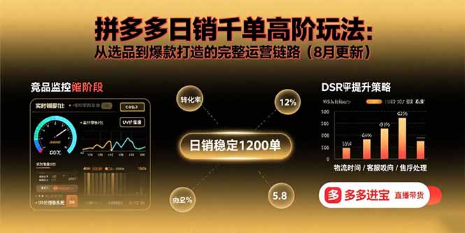 拼多多日销千单高阶玩法：从选品到爆款打造的完整运营链路(8月更新-九零网创