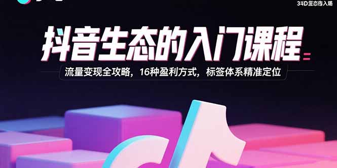 抖音生态的入门课程：流量变现全攻略，16种盈利方式，标签体系精准定位-九零网创