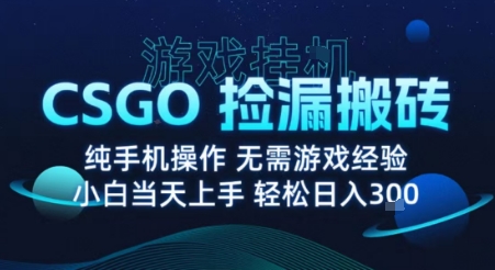 8月最新游戏搬砖，CSGO纯挂G，不需要玩游戏，实现真挂G，月入1W+【揭秘】-九零网创
