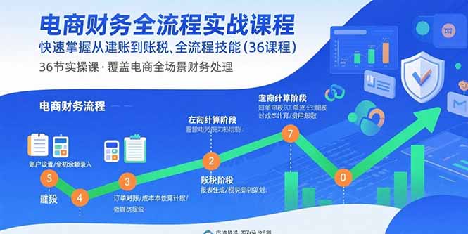 电商财务全流程实战课程：快速掌握从建账到报税的全流程技能(36节课-九零网创
