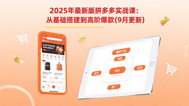2025年最新版拼多多实战课：从基础搭建到高阶爆款(9月更新-九零网创
