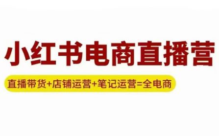 申铭老师·小红书电商直播营(更新)-九零网创