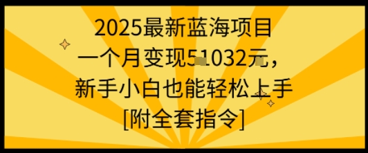 2025最新蓝海项目一个月变现1w+新手小白也能轻松上手【附全套指令】-九零网创