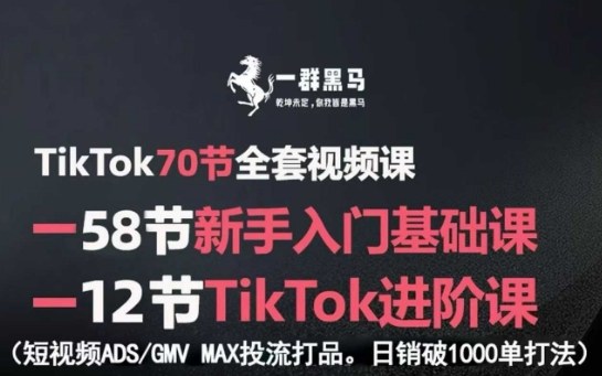 TikTok全套视频课，新手入门+进阶课，短视频ADS-GMV MAX投流打品，日销破1000单打法-九零网创