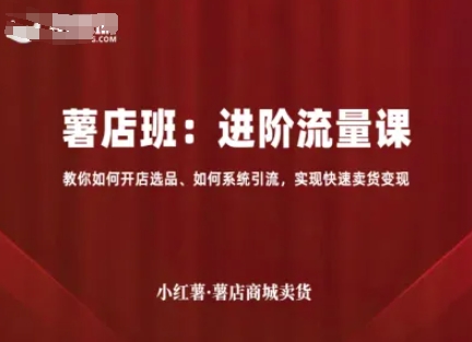 小红薯薯店商城卖货，进阶流量课，教你如何开店选品、如何系统引流，实现快速卖货变现-九零网创