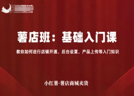 小红薯薯店商城卖货，基础入门课，教你如何进行店铺开通、后台设置、产品上传等入门知识-九零网创