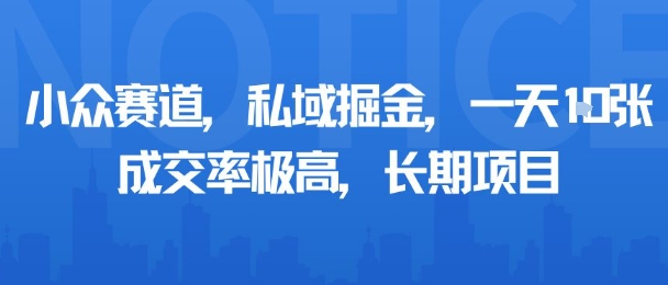 小众赛道，私域掘金，一天多张，成交率极高，长期项目-九零网创