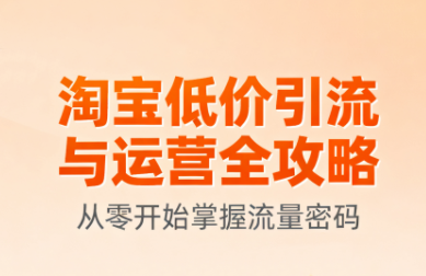 淘宝低价引流与运营全攻略(更新9月)-九零网创