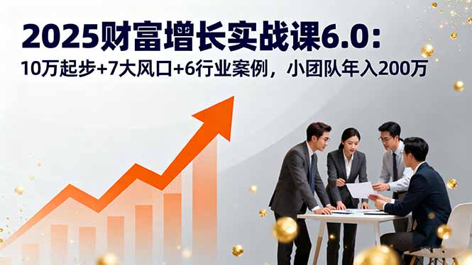 2025财富增长实战课6.0：10万起步+7大风口+6行业案例，小团队年入200万-九零网创