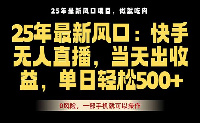 25年最新无人直播玩法，当天秒出单，一部手机就可操作-九零网创