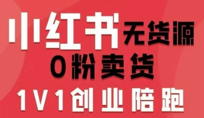 小红书无货源0粉电商课，开店准备、选品策略、笔记撰写、视频剪辑、数据分析、账号打造、资料文档-九零网创