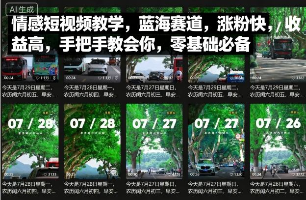 情感短视频教学，蓝海赛道，涨粉快，收益高，手把手教会你，零基础必备-九零网创