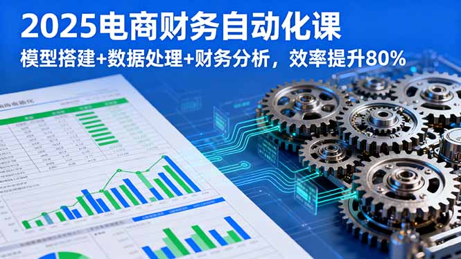 2025电商财务自动化课，模型搭建+数据处理+财务分析，效率提升80%-九零网创