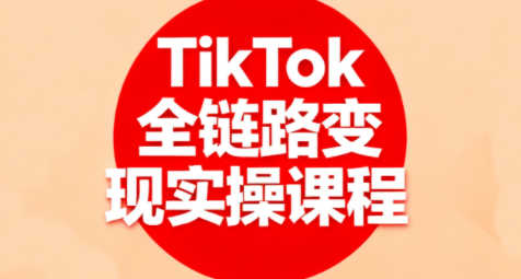 小杨老师·TikTok全链路变现实操课程-九零网创