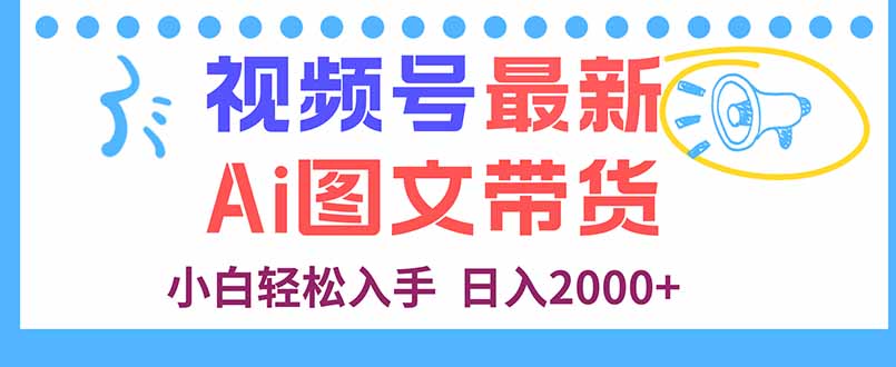 视频号最新AI图文带货，每天几分钟，小白轻松入手，日入2000+-九零网创