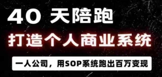 40天陪跑打造个人商业系统，一人公司，用SOP系统跑出百W变现-九零网创
