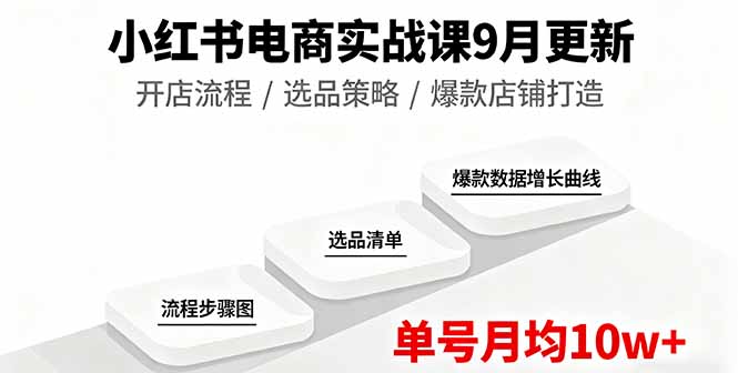 小红书电商实战课9月更新，开店流程/选品策略/爆款店铺打造，单号月均10w+-九零网创