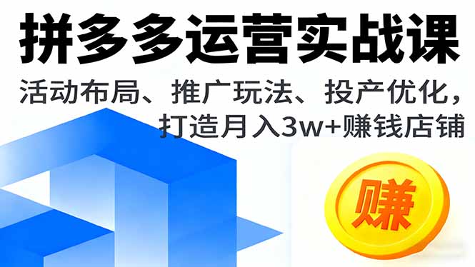 拼多多运营实战课，活动布局、推广玩法、投产优化，打造月入3w+赚钱店铺-九零网创