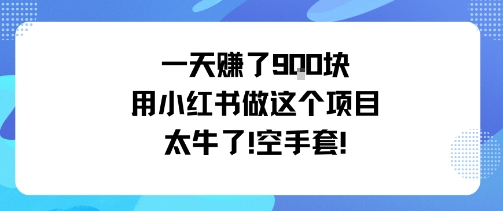 一天挣了9张用小红书做这个项目太牛了，空手套-九零网创