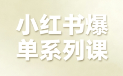 小红书爆单系列课，聚焦小红书电商全链路增长-九零网创