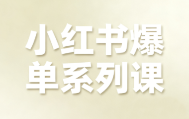 尼采老师·小红书爆单系列课-九零网创