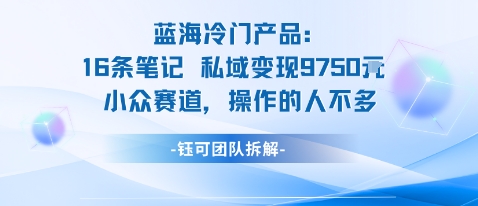 蓝海项目：16条笔记私域变现9750米小众赛道操作的人不多-九零网创