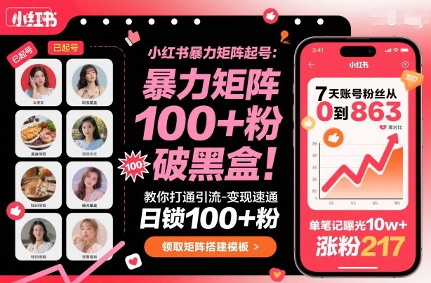 小红书暴力矩阵起号，教你打通引流-变现速通，日锁100+粉，破流量黑盒-九零网创
