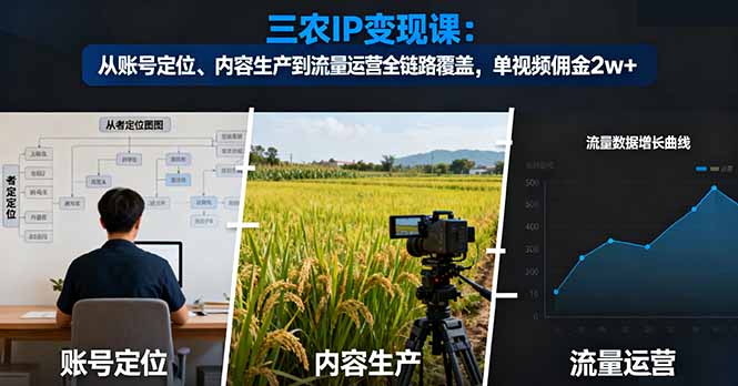 三农IP变现课：从账号定位、内容生产到流量运营全链路覆盖，单视频佣金2w+-九零网创
