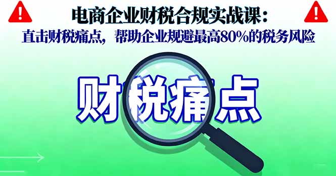 电商企业财税合规实战课，直击财税痛点，帮助企业规避最高80%的税务风险-九零网创