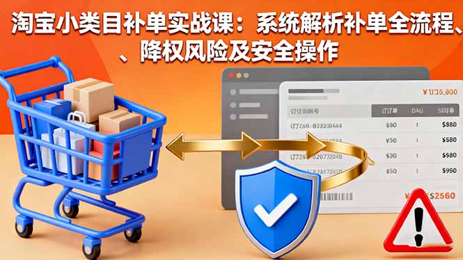 淘宝小类目补单实战课：系统解析补单全流程、降权风险及安全操作-九零网创