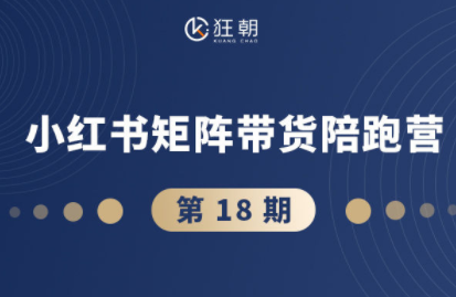 盗坤·抖音小红书视频号短视频带货与直播变现(11-18期)-九零网创
