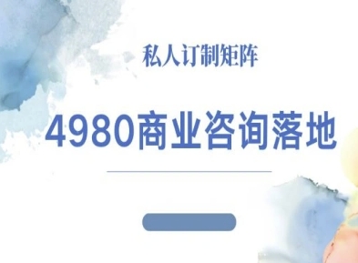 4980商业咨询师落地课程-ip运营高客单教程-九零网创