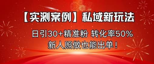 【实测案例】私域新玩法，日引30+精准粉，转化率50%，新人照做也能出单！-九零网创